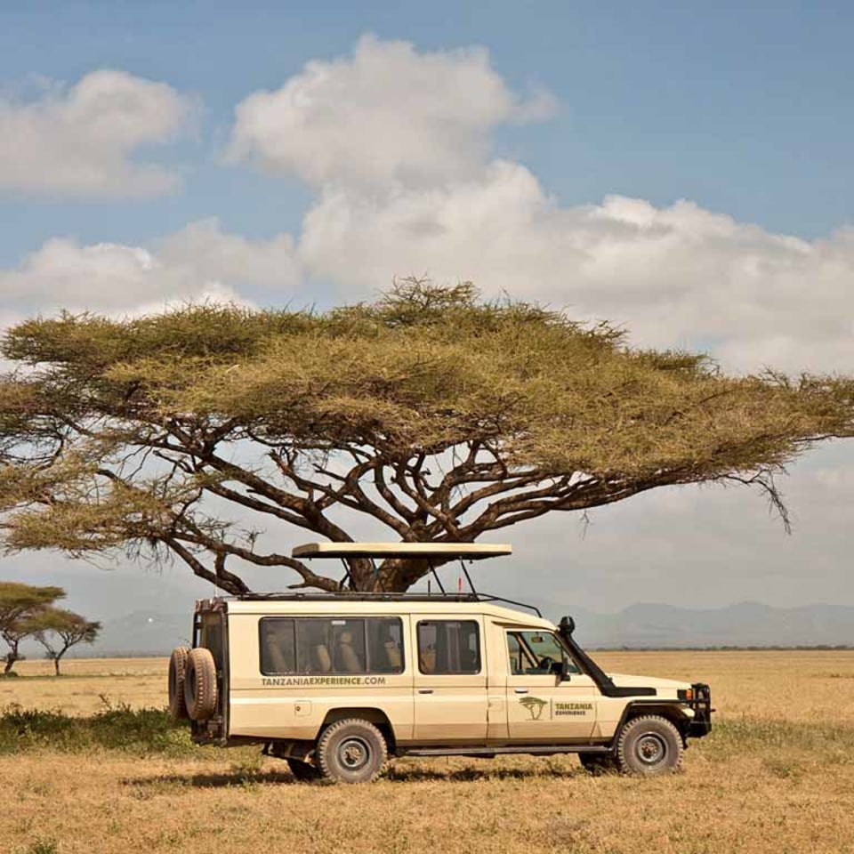In Kleingruppe durch Tansanias berühmte Safariparks 